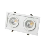 Downlight/spot/schijnwerper Interlight 2-voudig