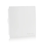 Muurinbouwventilator ITHO DAALDEROP BTV-ssst T