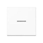 Tastsensor bussysteem Jung A 10911 ST RF BF WW