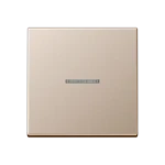 Tastsensor bussysteem Jung A 10911 ST RF CH