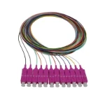 Pigtail Grayle Pigtail