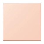 Bedieningselement /centraalplaat schakelmateriaal JUNG LC 990 234