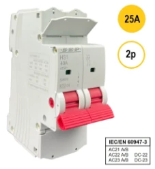 SEP HS1 Hoofdschakelaar 2p 25A (415V)