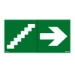 Pictogram noodverlichting Veiligheidsverlichting Legrand Label Trap symbool 100 x 200 mm (CT à 150 C62) 661672