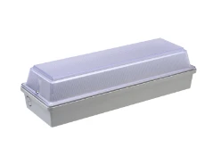 LIGHTRONICS Plafond-/wandarmatuur PVX