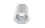 Downlight/spot/schijnwerper MacBright 2000 830 DALI IP65 WH/WH