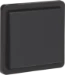 IP55