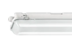 84 1 6000LM 1550 RVS