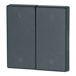 Schakelwip 2V, mat zonder LED, antraciet, 1/0