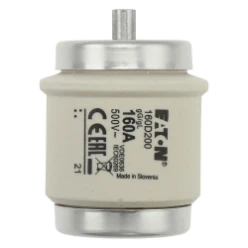 Zekering, laagspanning, 160 A, AC 500 V, D5, 56 x 46 mm, gL/gG, DIN, I