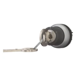 Sleutelschakelaar, 2 standen, RONIS 455, vast