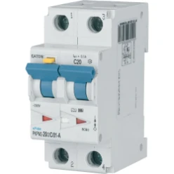 Aardlekautomaat (RCBO) PKPM2, 2P, 20A, C-kar, 100mA, Type A