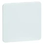 Onderdeel/centraalplaat communicatie-schakelmateriaal STANDARD Peha 80.677 W CENTR.PL.BLIND 00212821